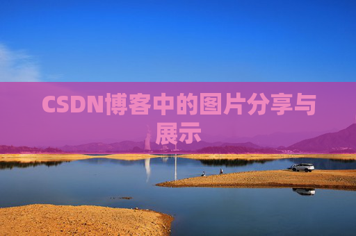 CSDN博客中的图片分享与展示